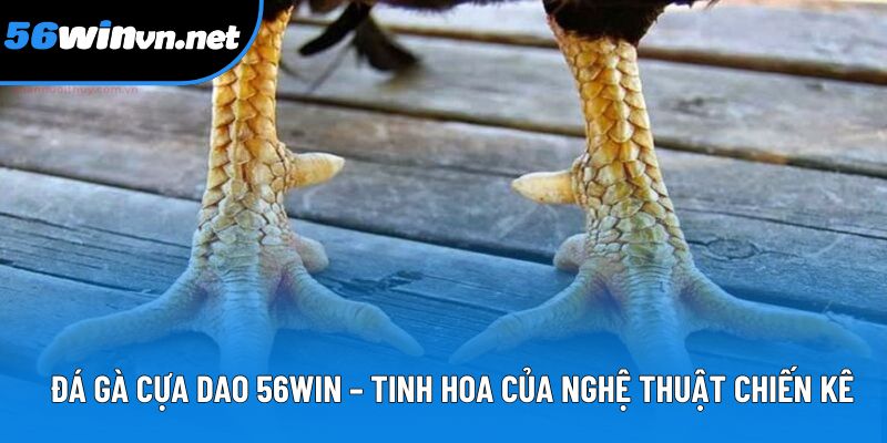 Đá Gà Cựa Dao 56win – Tinh Hoa Của Nghệ Thuật Chiến Kê