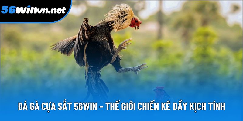 Đá Gà Cựa Sắt 56win – Thế Giới Chiến Kê Đầy Kịch Tính