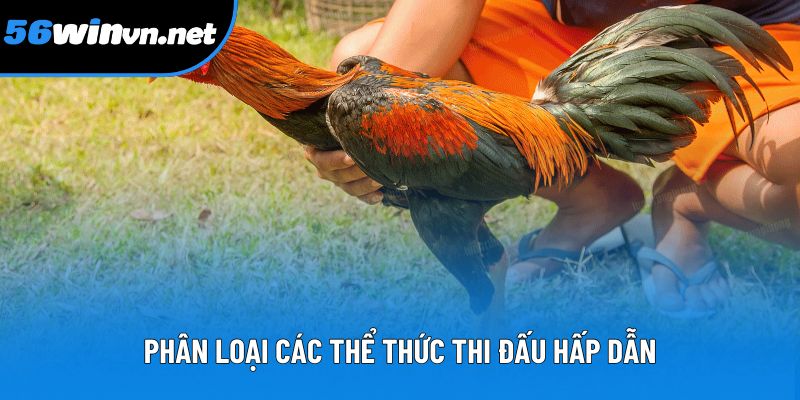 Phân loại các thể thức thi đấu hấp dẫn Phân loại các thể thức thi đấu hấp dẫn
