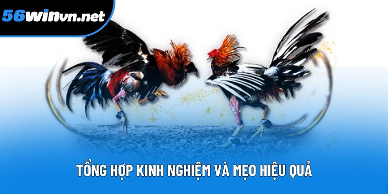 Tổng hợp kinh nghiệm và mẹo hiệu quả Tổng hợp kinh nghiệm và mẹo hiệu quả